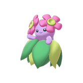 Buy Shiny 6IV Bellossom